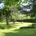 Rainette