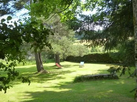 Rainette