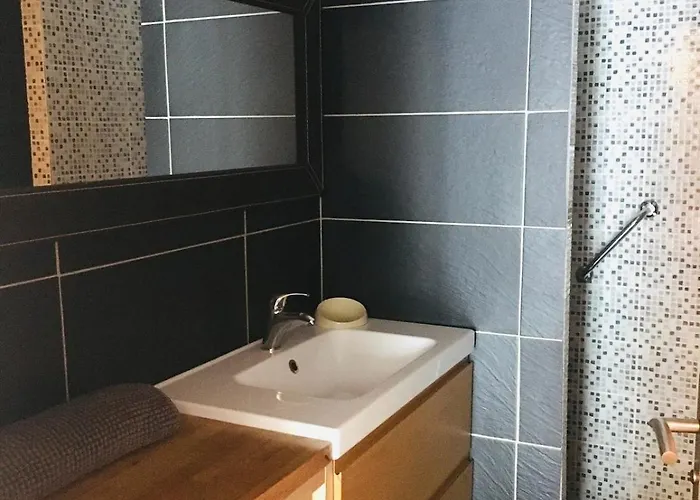 Rainette Apartment Le Chambon-sur-Lignon